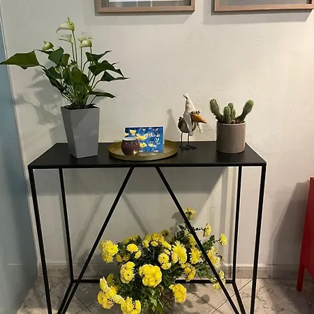 Tirana_cliche_apartment تيرانا